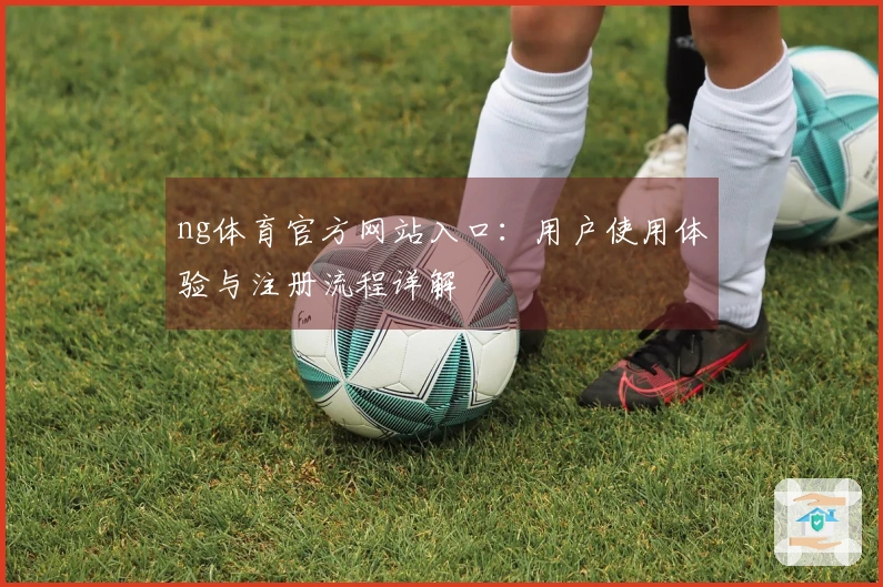 ng体育官方网站入口：用户使用体验与注册流程详解