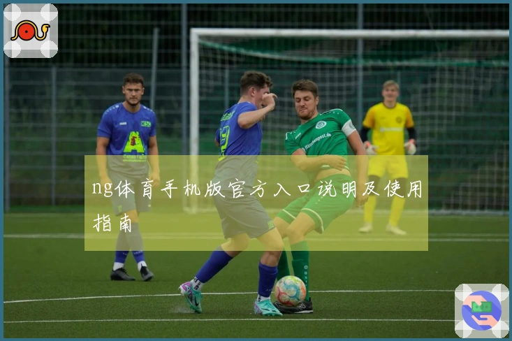 ng体育手机版官方入口说明及使用指南