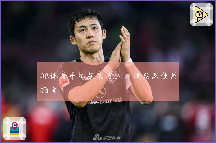 ng体育手机版官方入口说明及使用指南