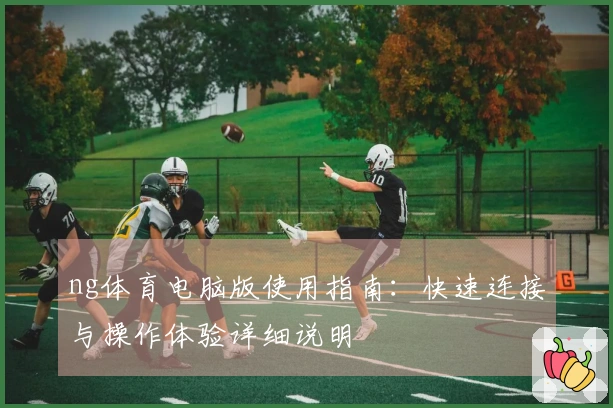 ng体育电脑版使用指南：快速连接与操作体验详细说明