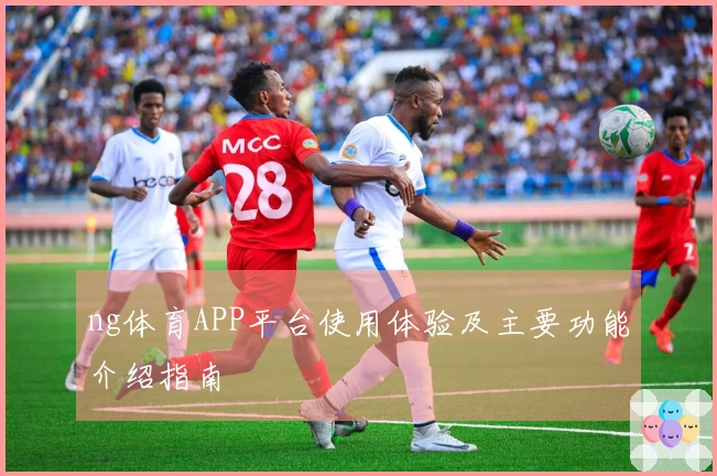 ng体育APP平台使用体验及主要功能介绍指南