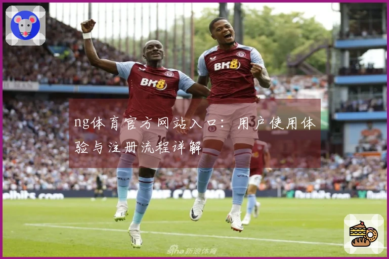ng体育官方网站入口：用户使用体验与注册流程详解