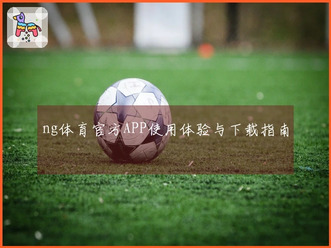 ng体育官方APP使用体验与下载指南