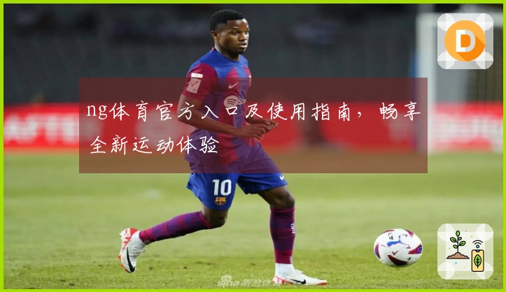 ng体育官方入口及使用指南，畅享全新运动体验